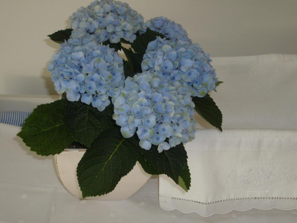 Bed and Breakfast De Moeraseik Zele Esterno foto